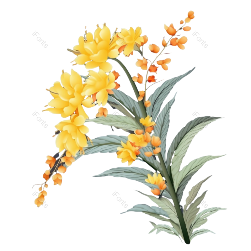 装饰图片,元素元素,插画PNG,黄色花朵免抠素材